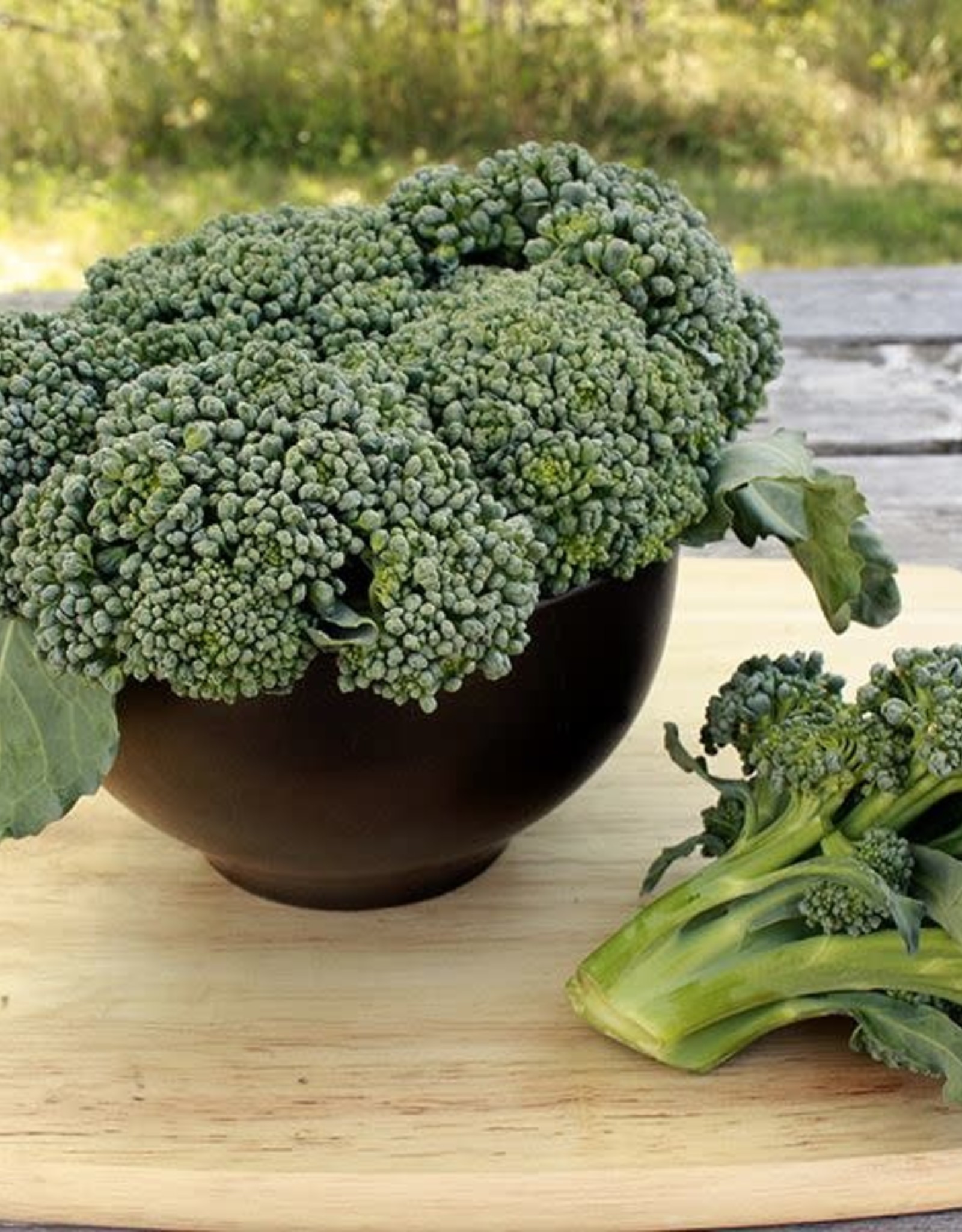 High Mowing Seed HM Waltham 29 Broccoli  1/32 OZ