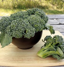 High Mowing Seed HM Waltham 29 Broccoli: 1/32 OZ