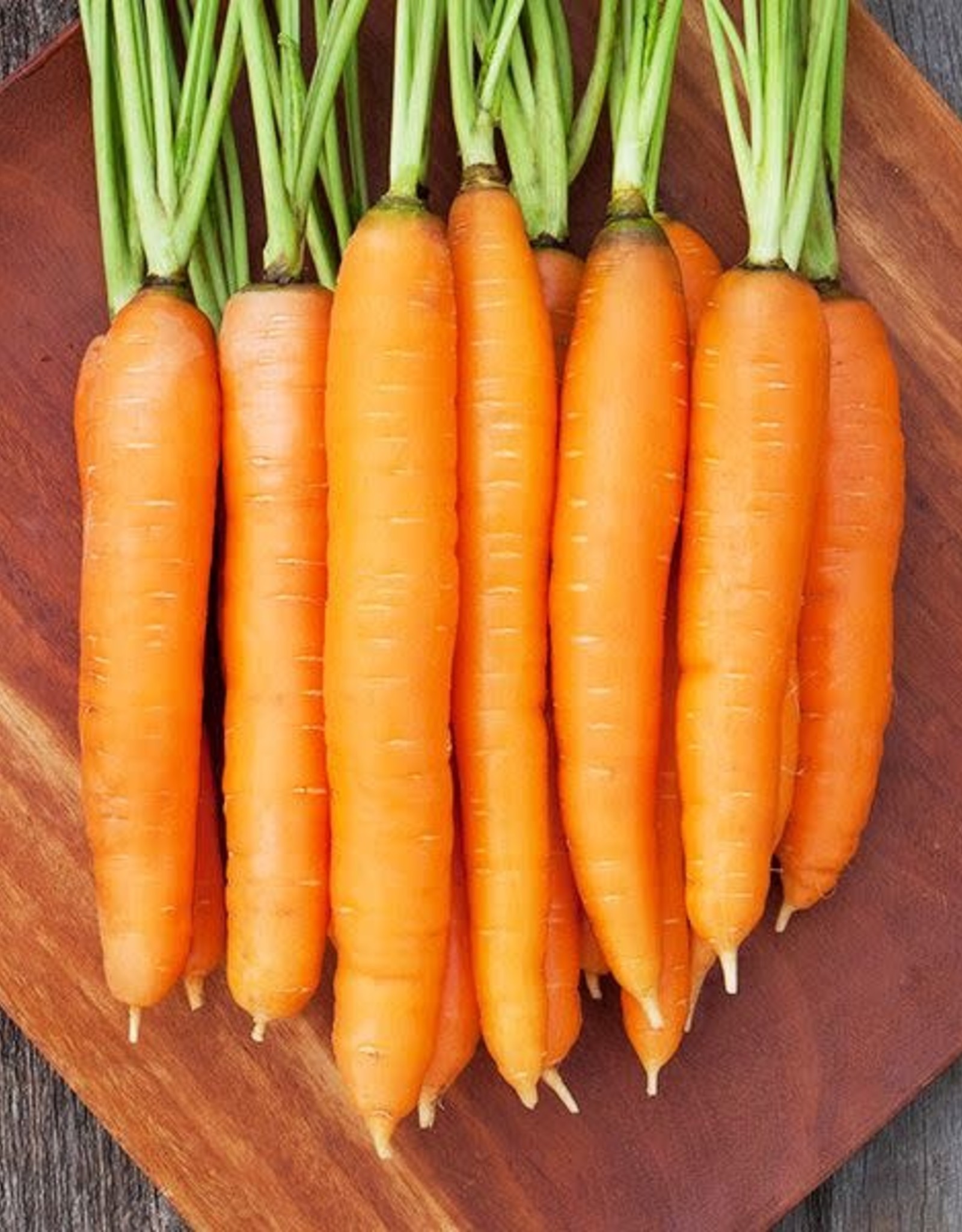 High Mowing Seed HM Dolciva Carrot  250 SEEDS