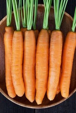 High Mowing Seed HM Yaya F1 Carrot  250 SEEDS