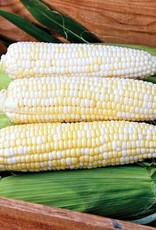 High Mowing Seed HM Who Gets Kissed Sweet Corn  1/2 OZ