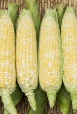 High Mowing Seed HM Enchanted F1 Sweet Corn  75 SEEDS