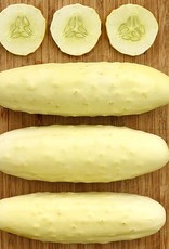 High Mowing Seed HM Silver Slicer Cucumber  1/16 OZ