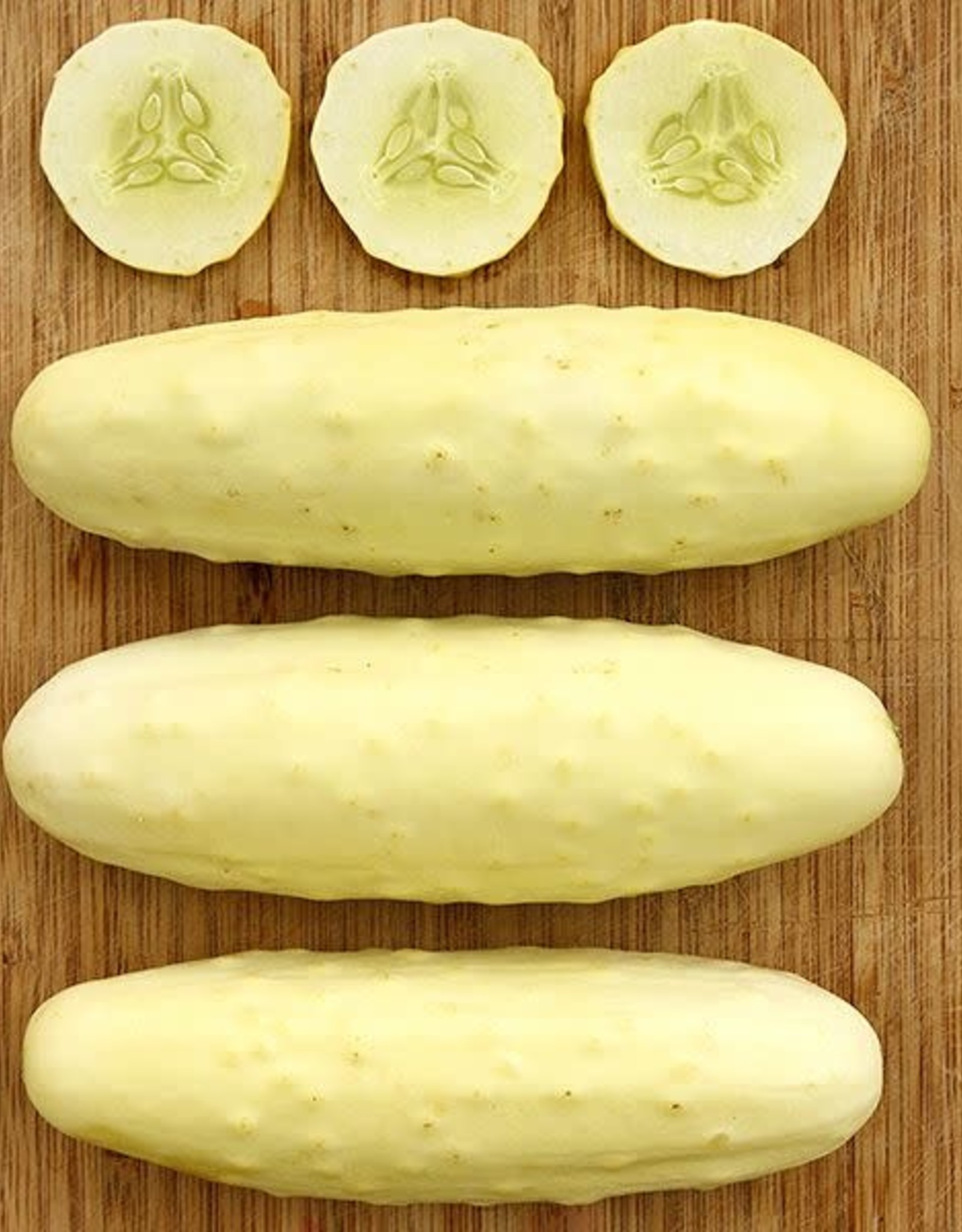 High Mowing Seed HM Silver Slicer Cucumber  1/16 OZ