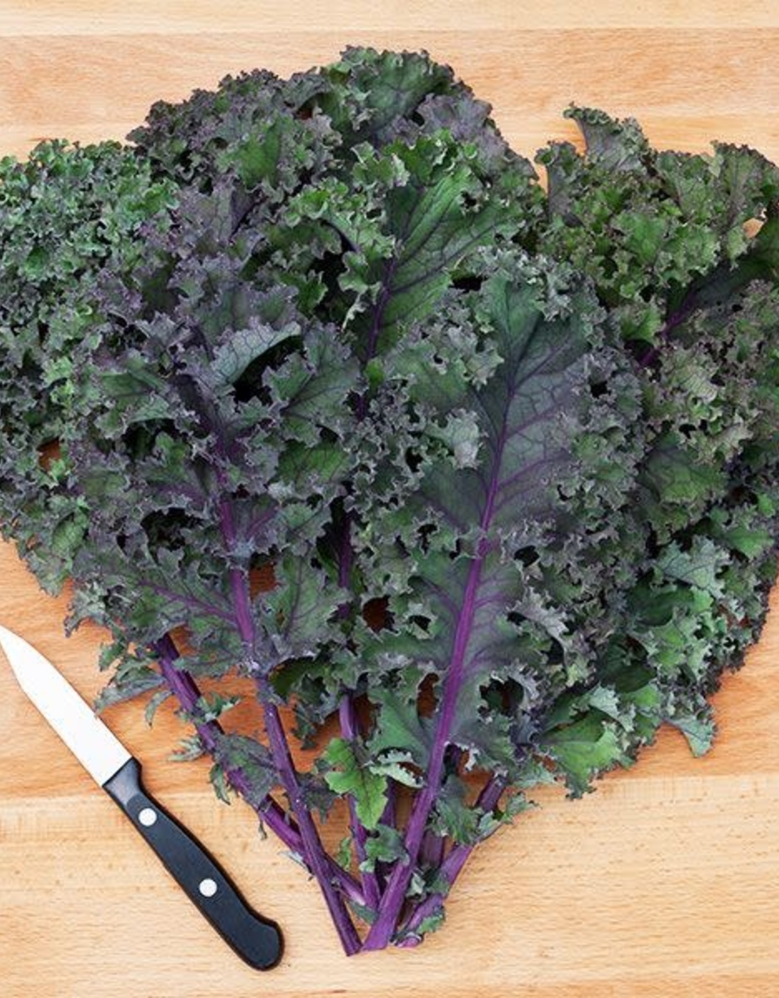 HM Curly Roja Kale: 1/32 OZ