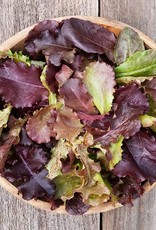 High Mowing Seed HM Red Planet Lettuce Blend  1/32 OZ