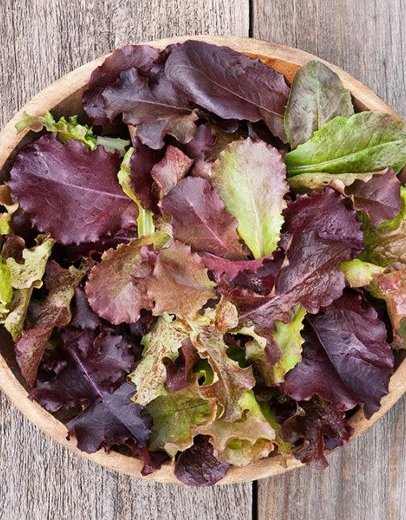 High Mowing Seed HM Red Planet Lettuce Blend  1/32 OZ