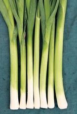 High Mowing Seed HM Alto Leek  1/64 OZ