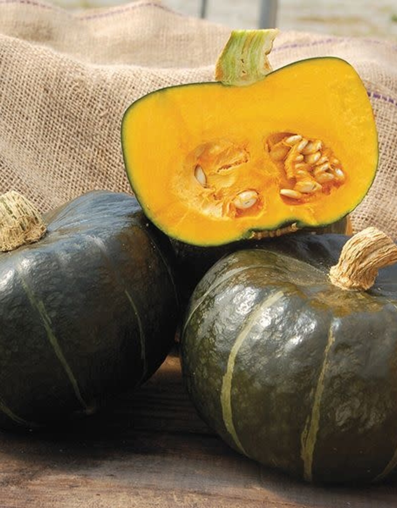 High Mowing Seed HM Burgess Buttercup Squash  1/8 OZ