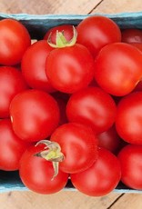 High Mowing Seed HM Peacevine Cherry Tomato  1/10 GRAM