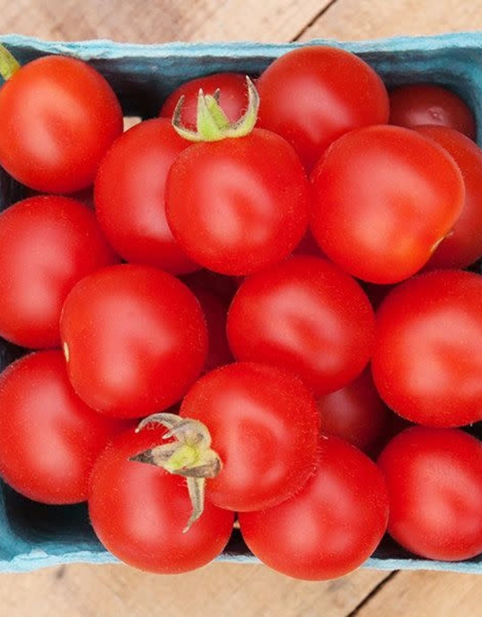 High Mowing Seed HM Peacevine Cherry Tomato  1/10 GRAM