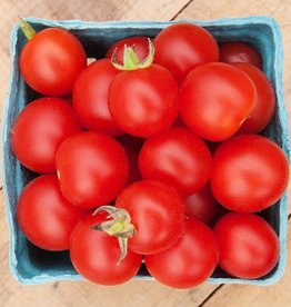 High Mowing Seed HM Peacevine Cherry Tomato: 1/10 GRAM