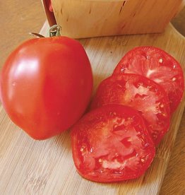 High Mowing Seed HM Amish Paste Tomato: 1/10 GRAM