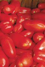 High Mowing Seed HM San Marzano Paste Tomato  1/10 GRAM