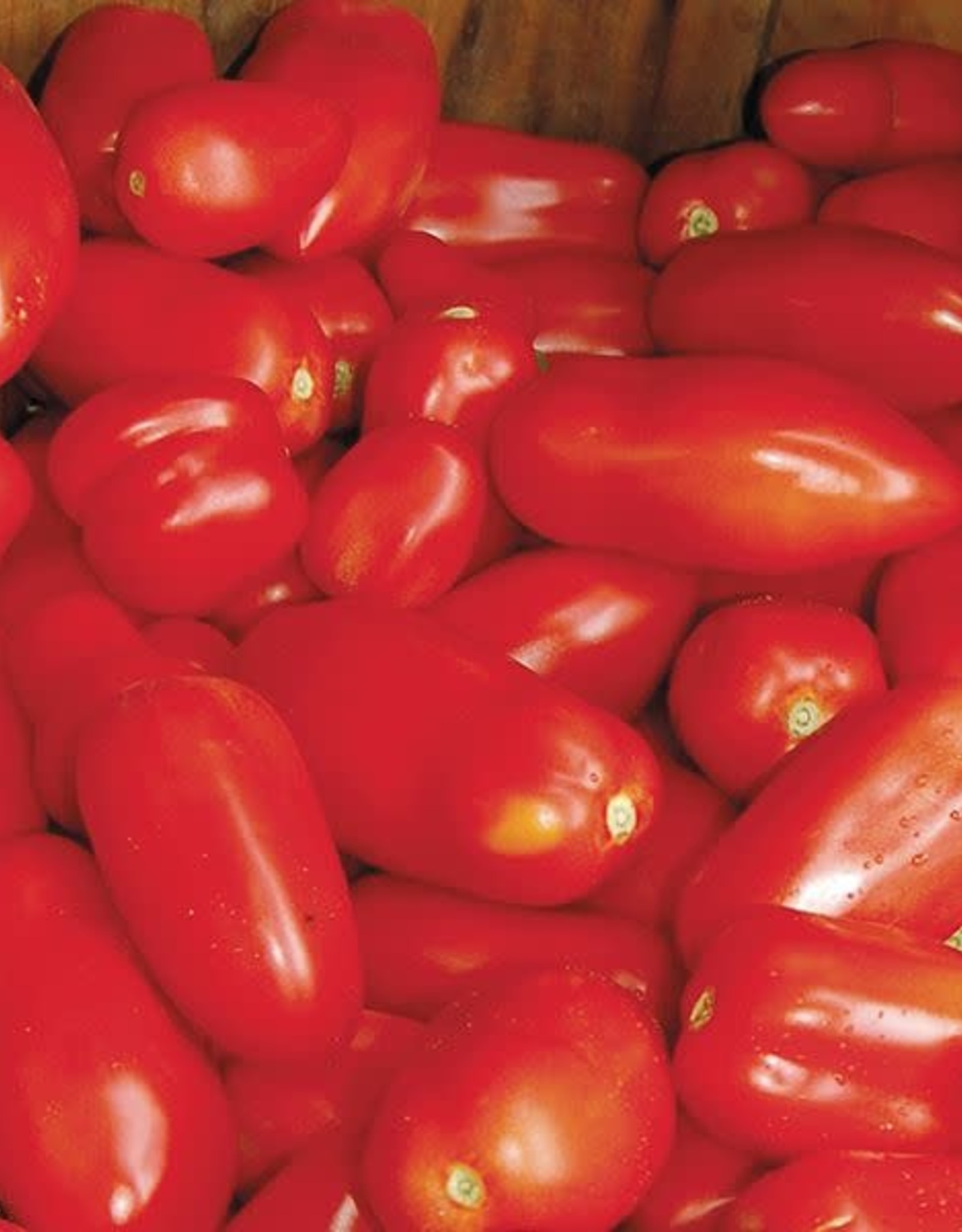 High Mowing Seed HM San Marzano Paste Tomato  1/10 GRAM