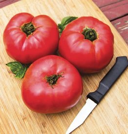 High Mowing Seed HM Pruden's Purple Tomato: 1/10 GRAM