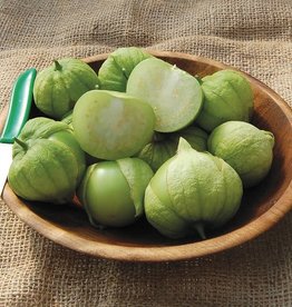 High Mowing Seed HM Toma Verde Tomatillo: 1/10 GRAM