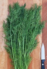 High Mowing Seed HM Greensleeves Dill  1/32 OZ
