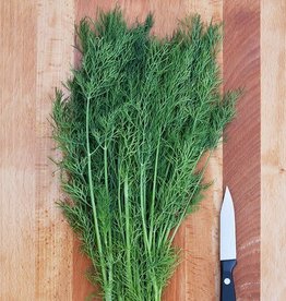 High Mowing Seed HM Greensleeves Dill: 1/32 OZ