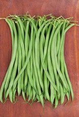 High Mowing Seed HM Maxibel Haricot Vert: 1 OZ