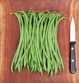 High Mowing Seed HM Maxibel Haricot Vert: 1 OZ