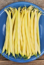 High Mowing Seed HM Gold Rush Yellow Wax Bean  1 OZ
