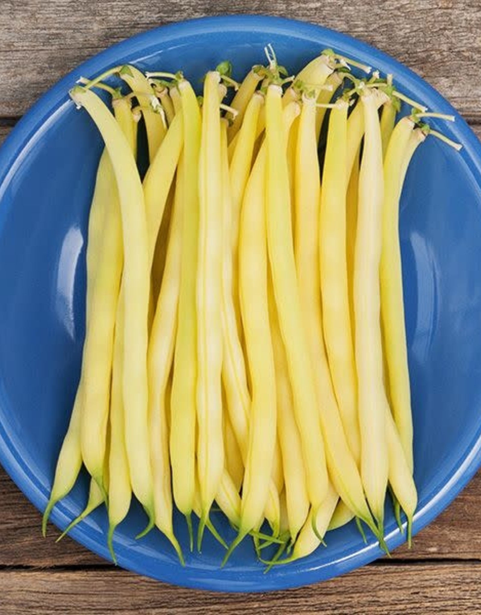 High Mowing Seed HM Gold Rush Yellow Wax Bean  1 OZ