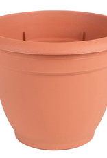 BLOEM Bloem Ariana Planter with Grid Terra Cotta 8 in