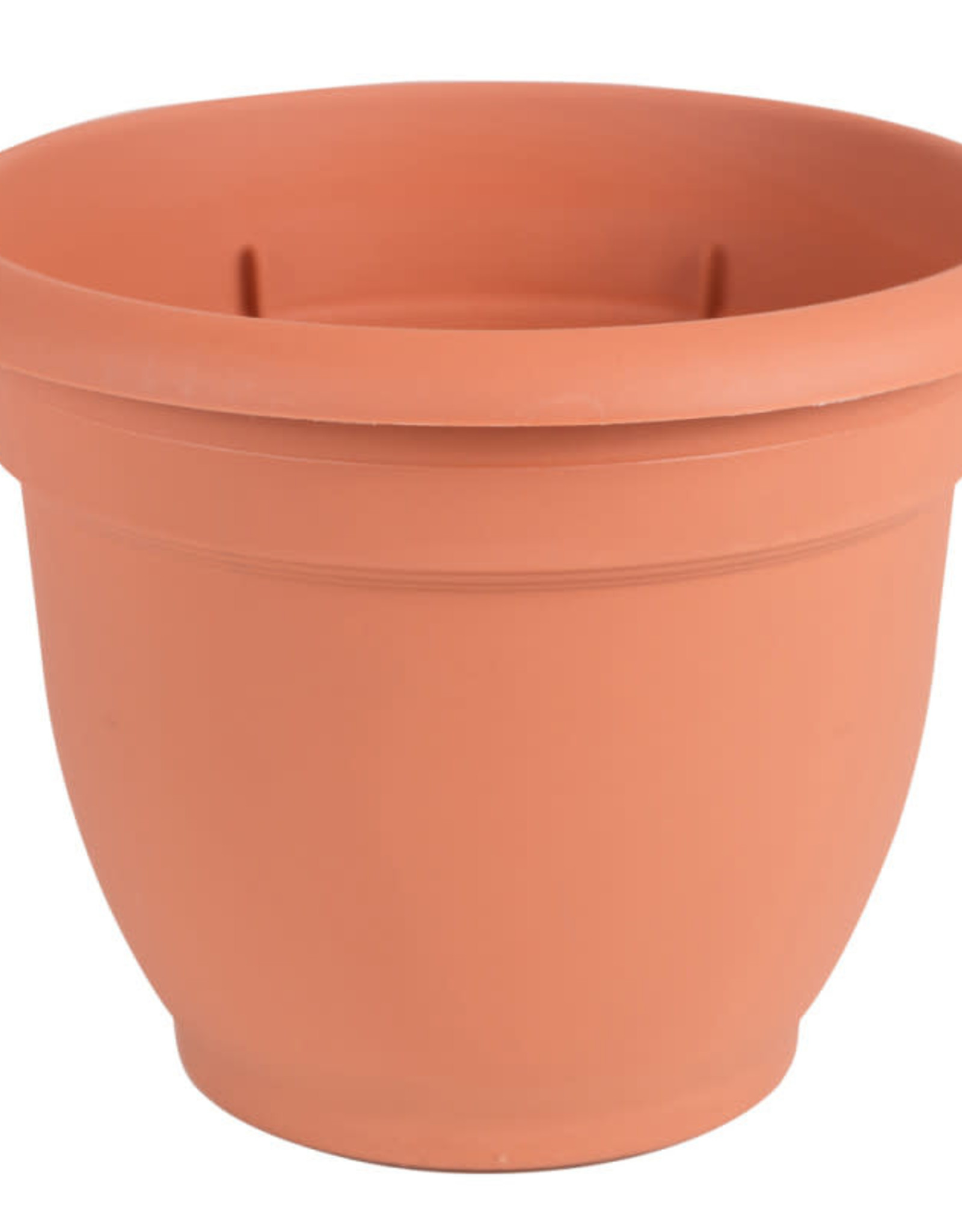 BLOEM Bloem Ariana Planter with Grid Terra Cotta 8 in