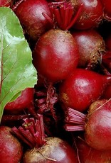 High Mowing Seed HM Detroit Dark Red Beet  1/16 OZ