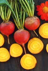 High Mowing Seed HM Touchstone Gold Beet  100 SEEDS