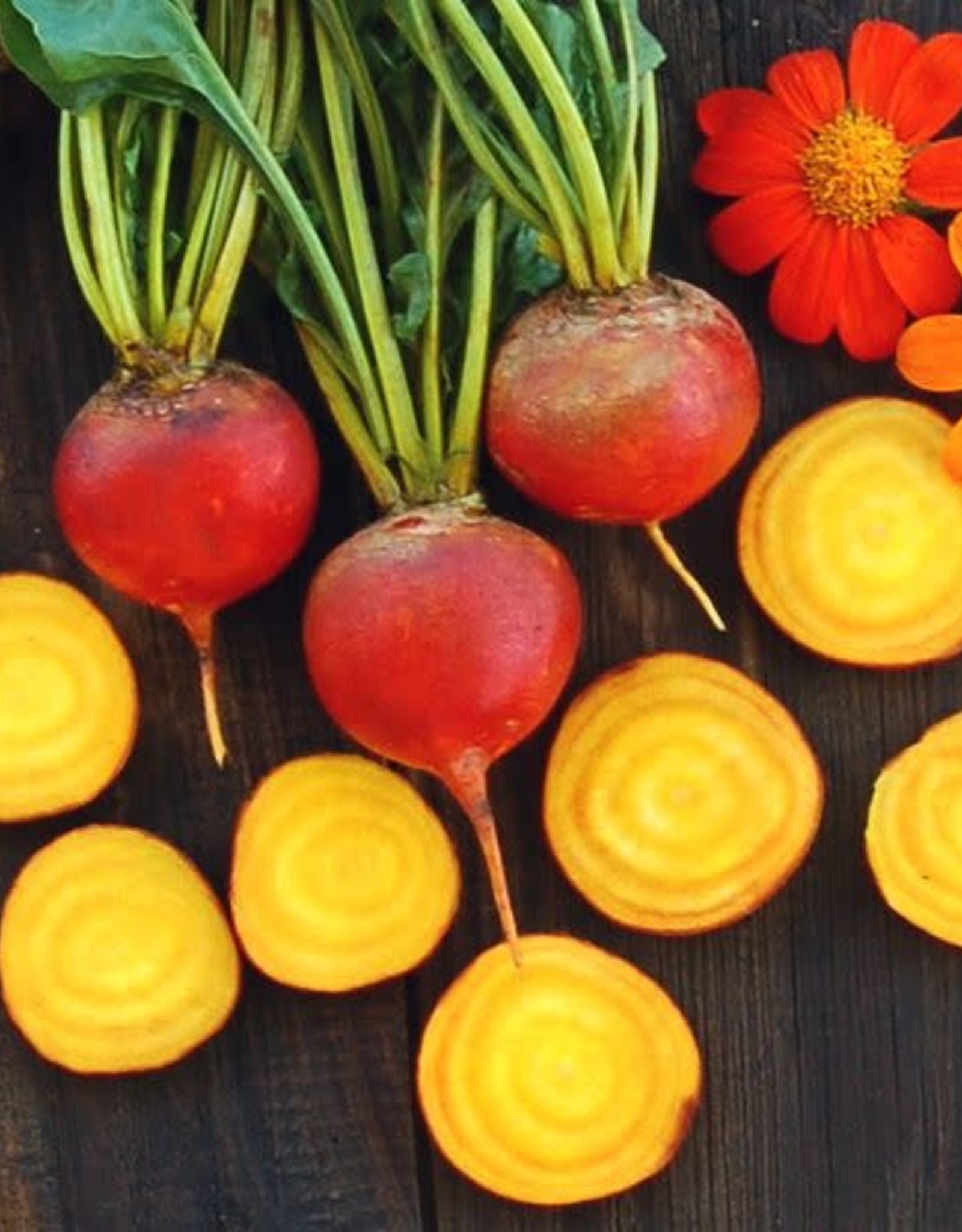 High Mowing Seed HM Touchstone Gold Beet  100 SEEDS