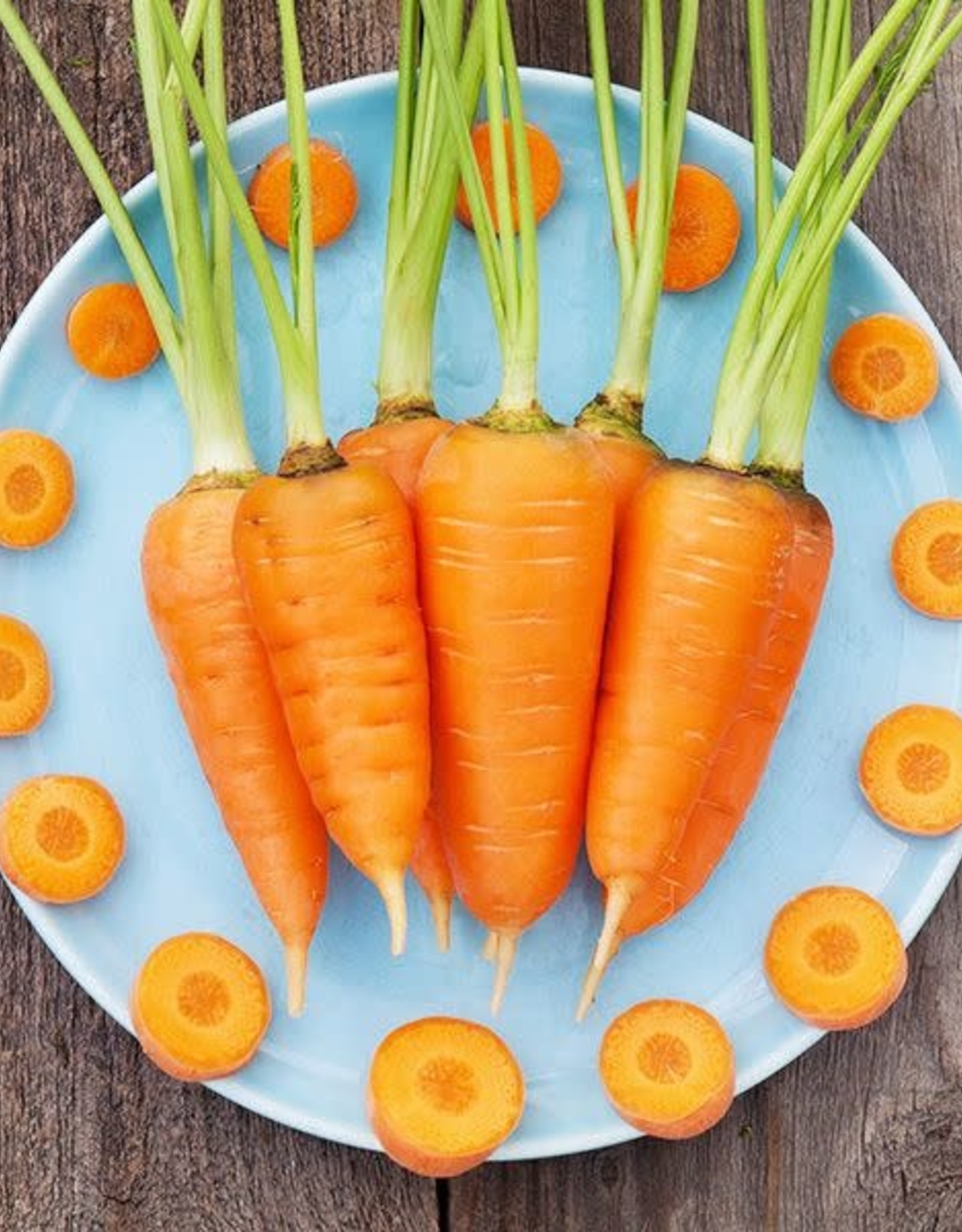 High Mowing Seed HM Red Cored Chantenay Carrot: 1/32 OZ