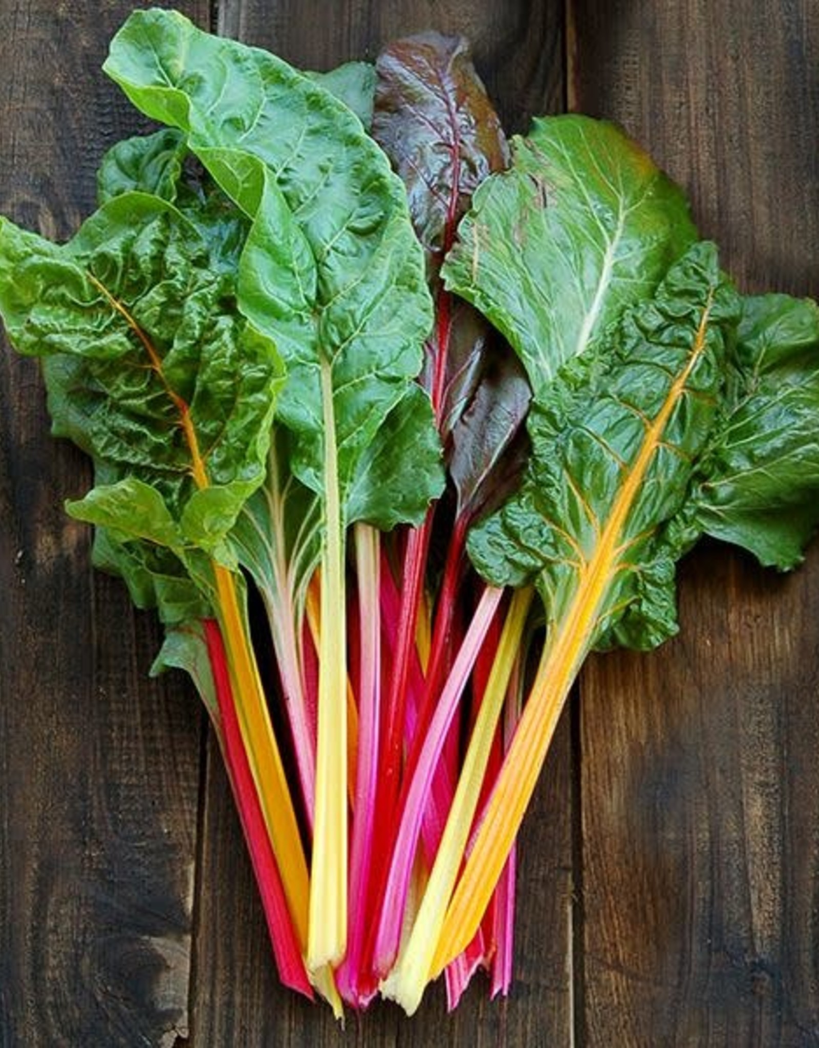 High Mowing Seed Improved Rainbow Blend Chard  1/16 OZ