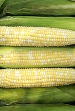High Mowing Seed HM Seed Allure F1 Sweet Corn: 75 SEEDS
