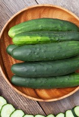 High Mowing Seed HM Marketmore 76 Cucumber  1/16 OZ