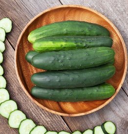 High Mowing Seed HM Marketmore 76 Cucumber  1/16 OZ