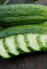 High Mowing Seed HM National Pickling Cucumber  1/16 OZ