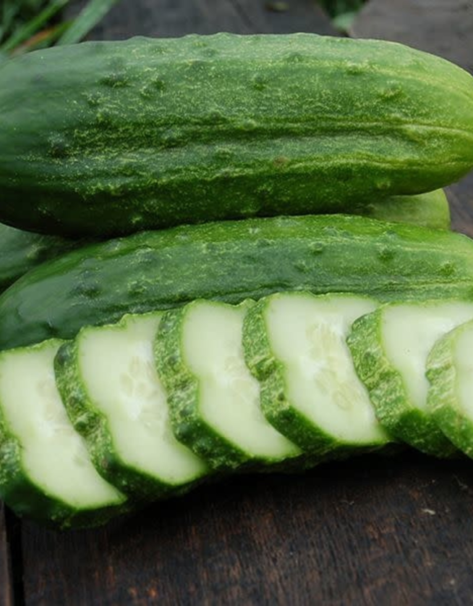 High Mowing Seed HM National Pickling Cucumber  1/16 OZ