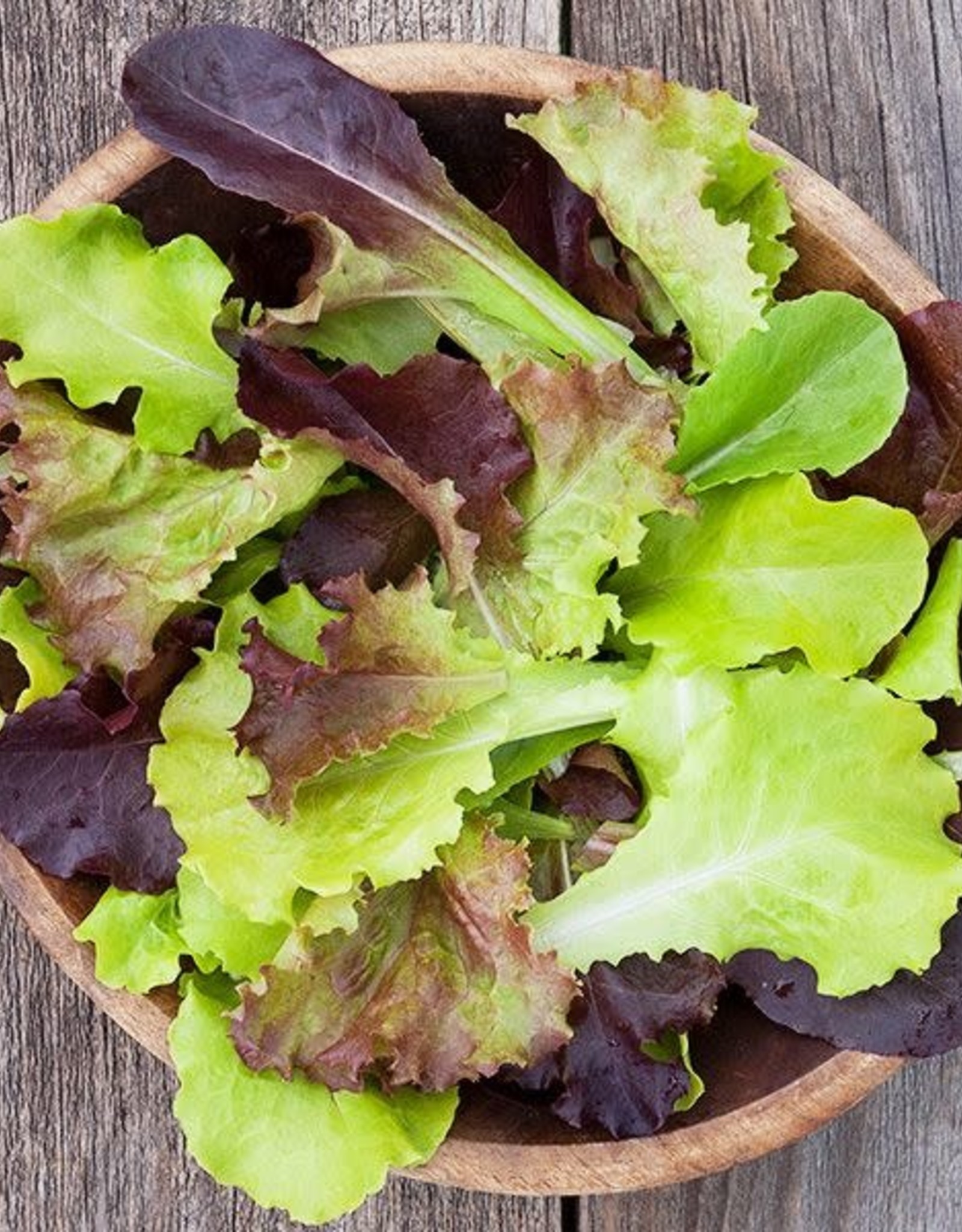 High Mowing Seed HM Gourmet Lettuce Blend  1/32 OZ