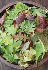 High Mowing Seed HM Mesclun Mix  1/32 OZ