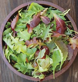 High Mowing Seed HM Mesclun Mix  1/32 OZ