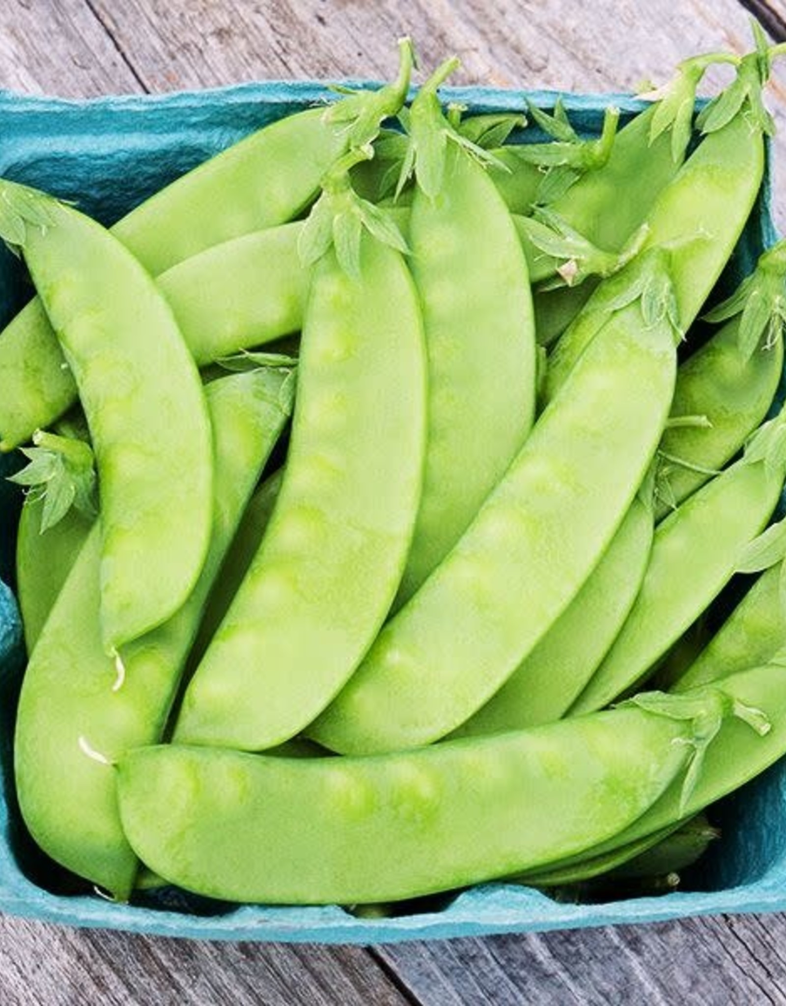 High Mowing Seed HM Oregon Sugar Pod II Snow Pea: 1 OZ