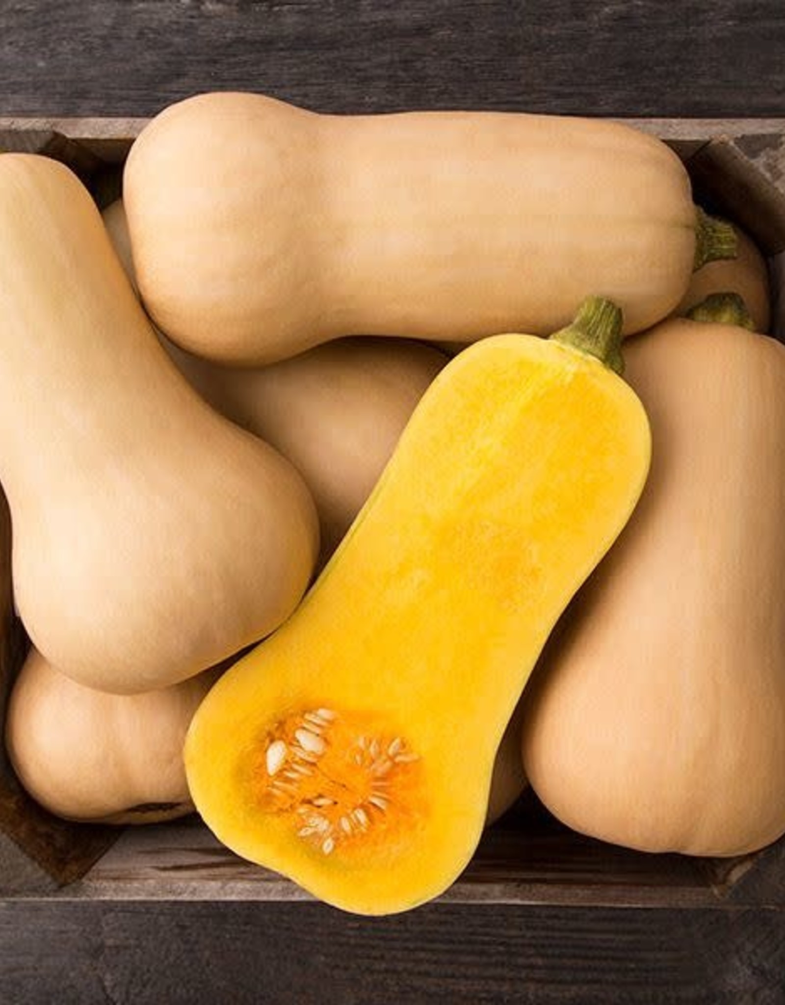 High Mowing Seed HM Waltham Butternut Squash  1/8 OZ