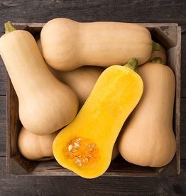 High Mowing Seed HM Waltham Butternut Squash  1/8 OZ