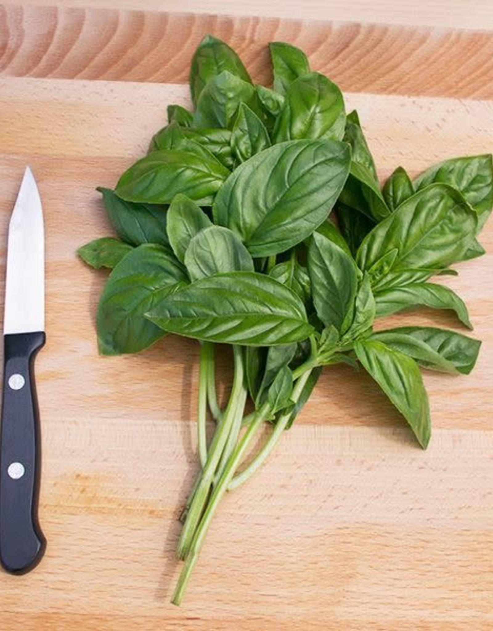 High Mowing Seed HM Genovese Basil  1/32 OZ