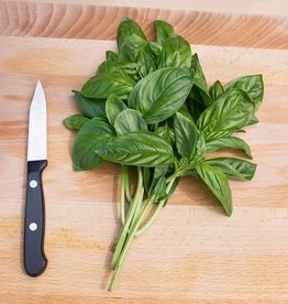 High Mowing Seed HM Genovese Basil  1/32 OZ