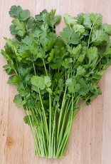 High Mowing Seed HM Santo Cilantro  1/8 OZ