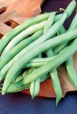 Territorial Seed Company BEAN BLUE LAKE POLE 1 ounce