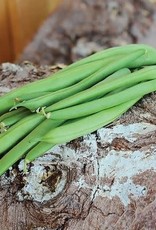 Territorial Seed Company BEAN KENTUCKY BLUE 1 ounce